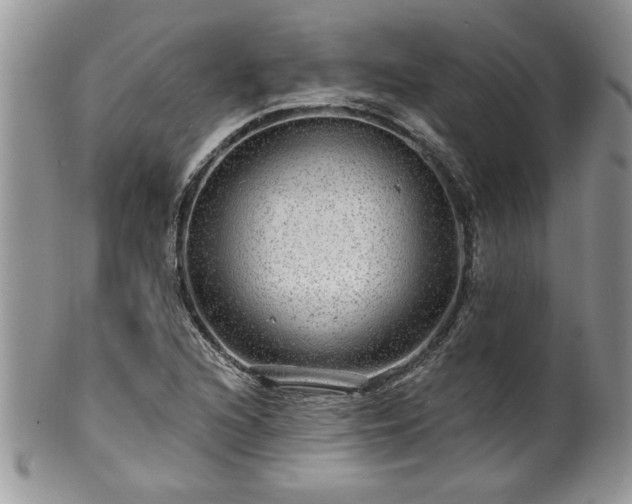 X0000100391216200806130944