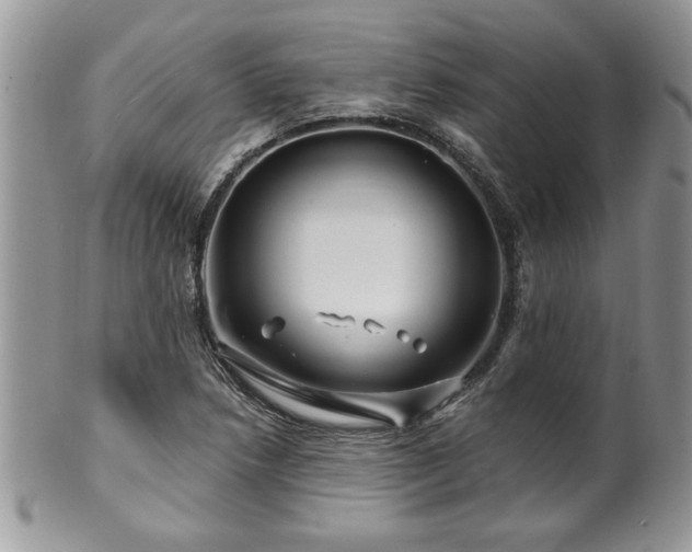 X0000100391218200806130944