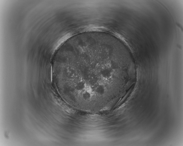 X0000100391219200806130944