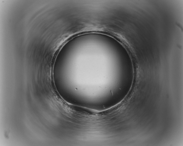 X0000100391220200806130944