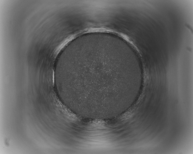 X0000100391221200806130944