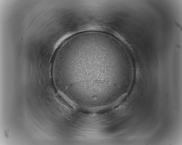 X0000100391222200806130944