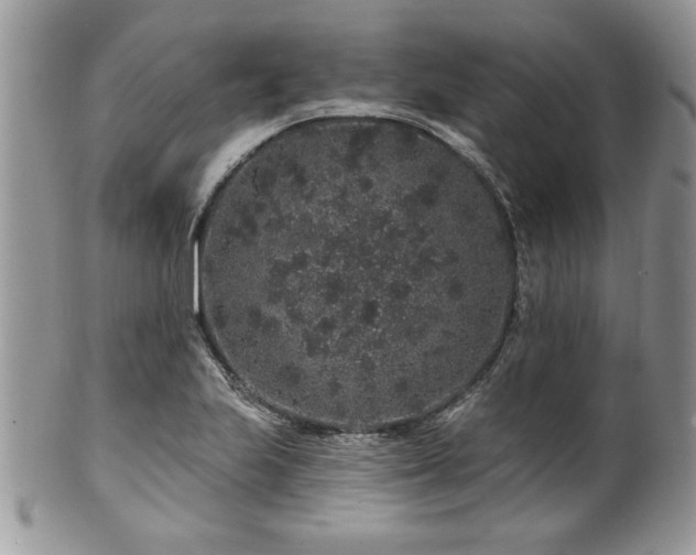 X0000100391223200806130944