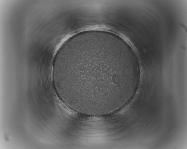 X0000100391224200806130944