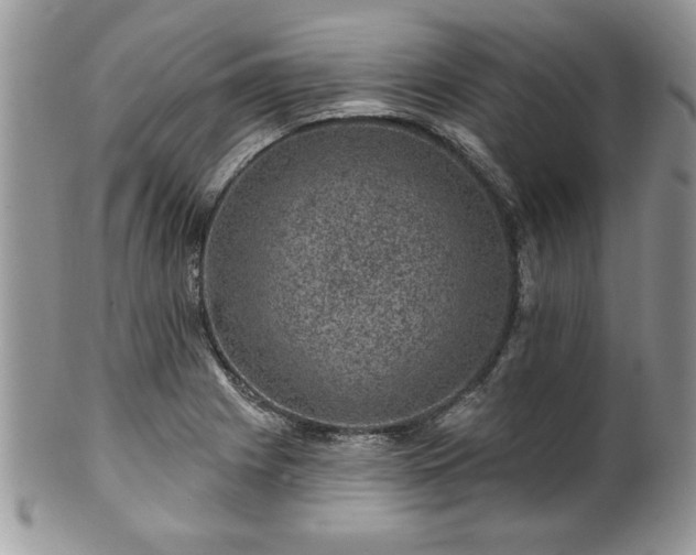 X0000100391225200806130944