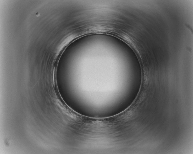 X0000100391227200806130944