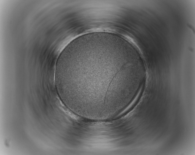 X0000100391228200806130944