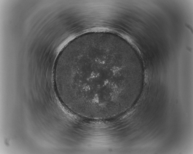 X0000100391229200806130944