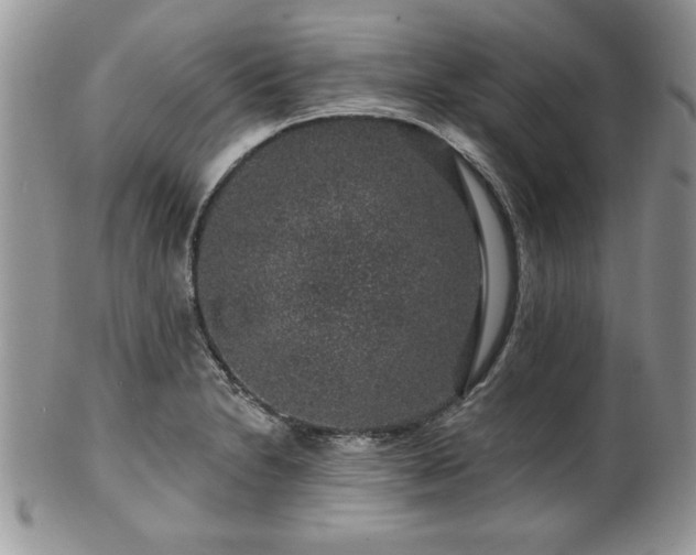 X0000100391230200806130944