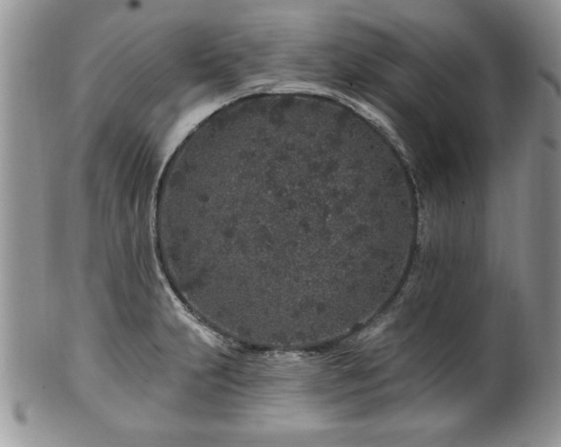 X0000100391231200806130944