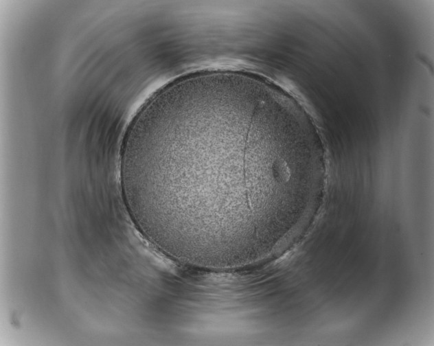 X0000100391232200806130944