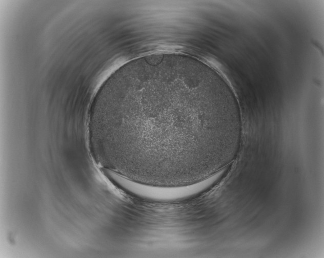 X0000100391235200806130944