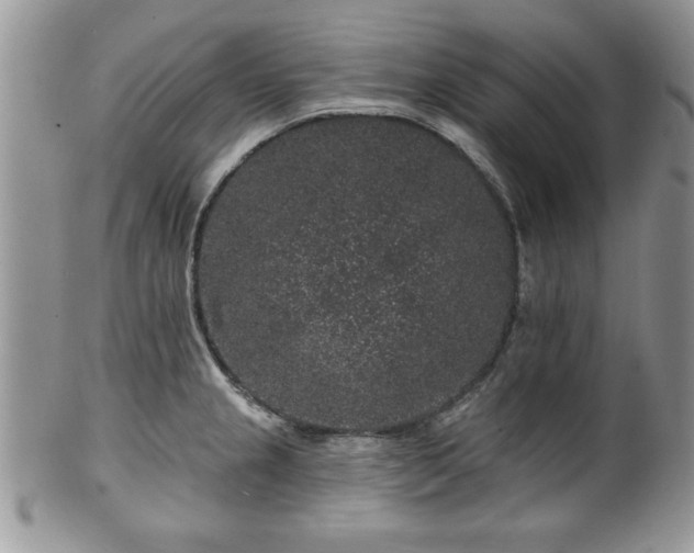 X0000100391237200806130944