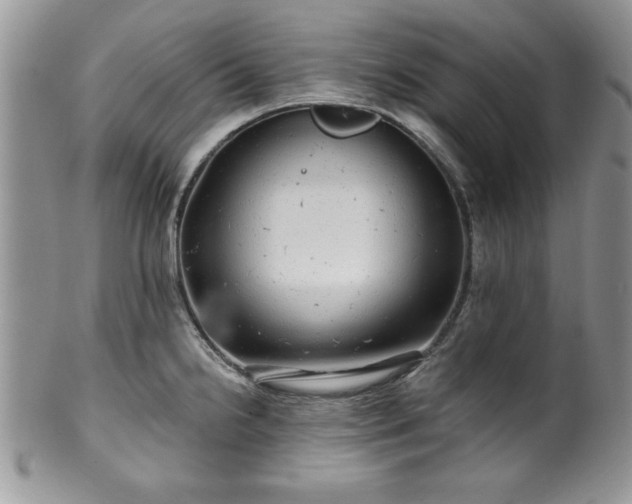 X0000100391238200806130944