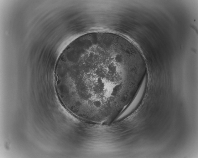 X0000100391239200806130944