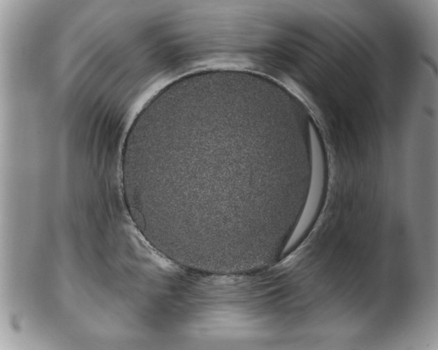 X0000100391240200806130944