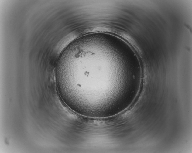 X0000100391241200806130944