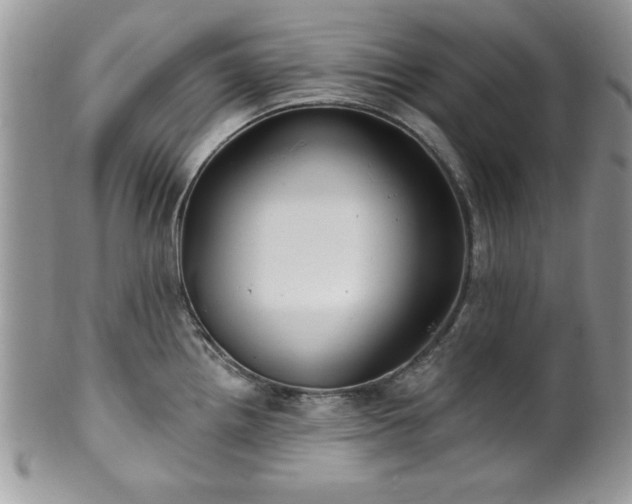 X0000100391242200806130944