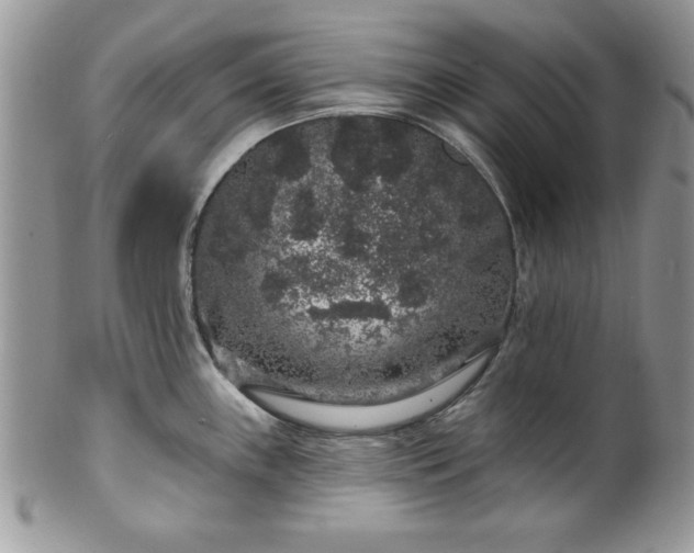 X0000100391243200806130944