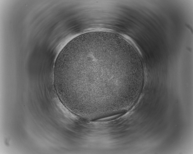 X0000100391244200806130944