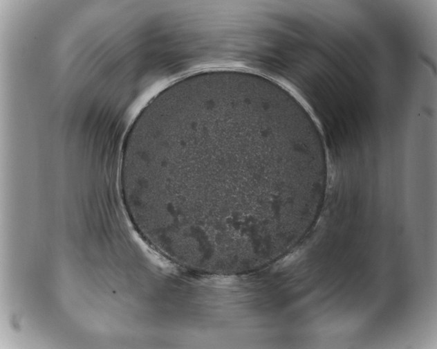 X0000100391245200806130944