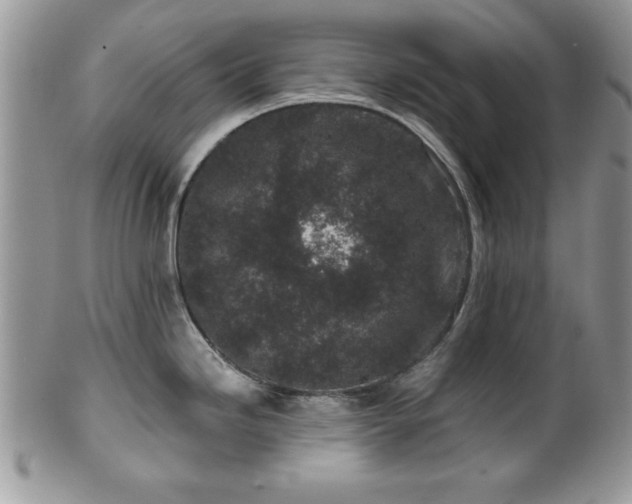 X0000100391246200806130945