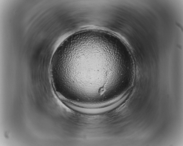 X0000100391247200806130945