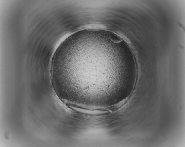 X0000100391248200806130945