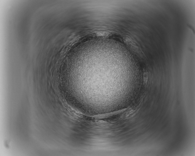 X0000100391249200806130944