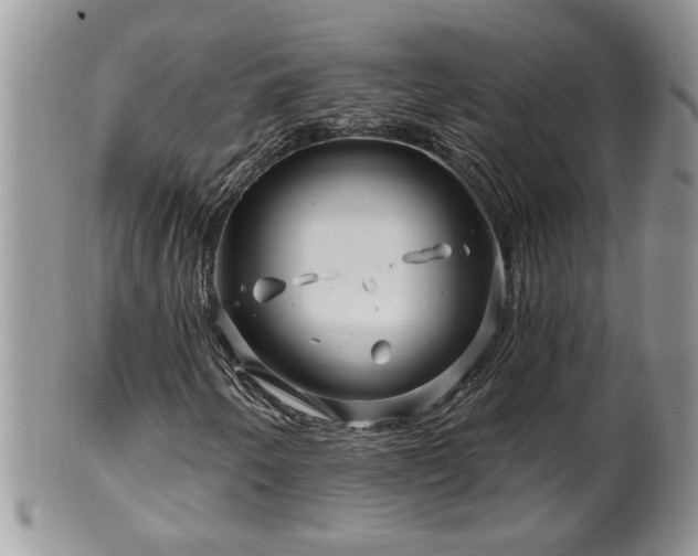 X0000100391250200806130944