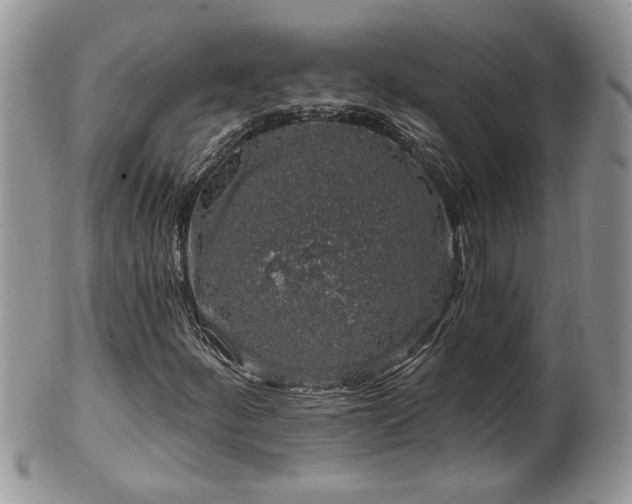 X0000100391252200806130944