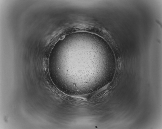 X0000100391253200806130944