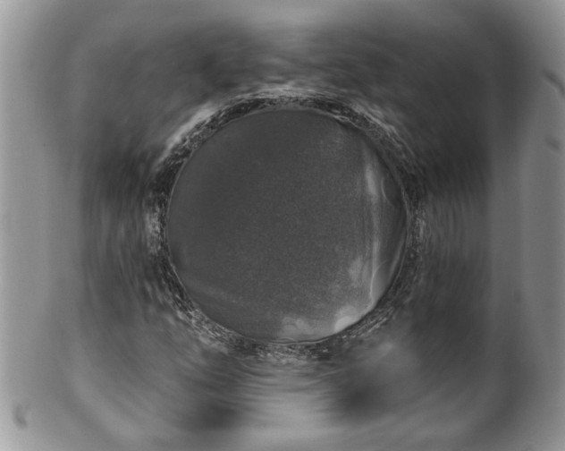 X0000100391254200806130944