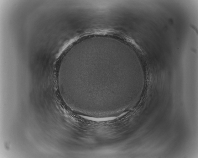 X0000100391256200806130944