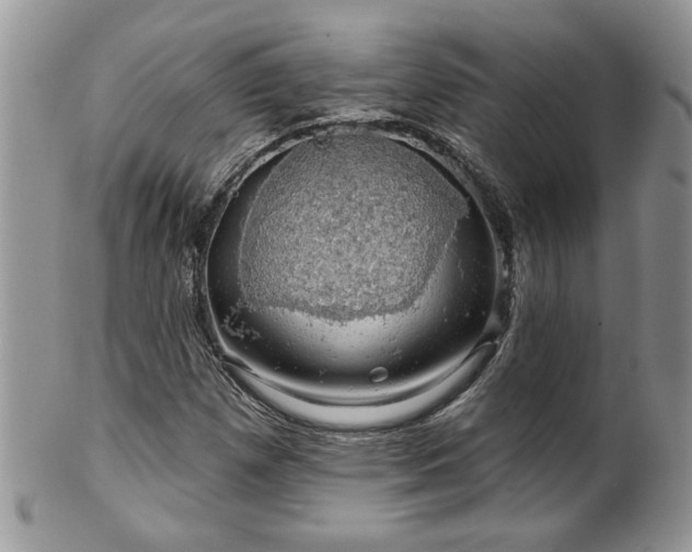 X0000100391257200806130944