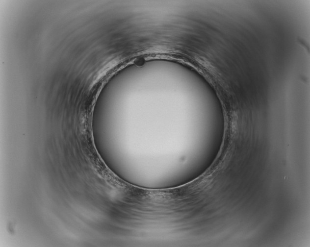 X0000100391258200806130944