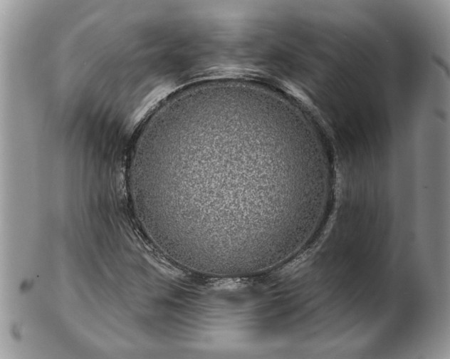 X0000100391259200806130944