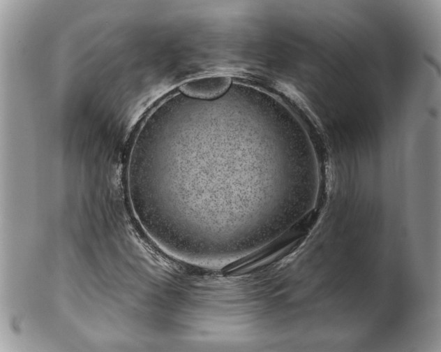 X0000100391260200806130944