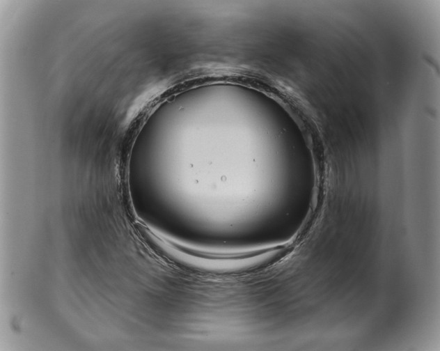 X0000100391261200806130944