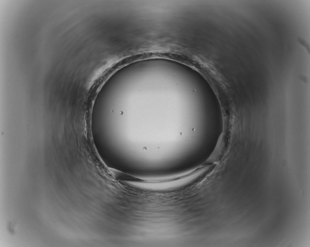 X0000100391262200806130944