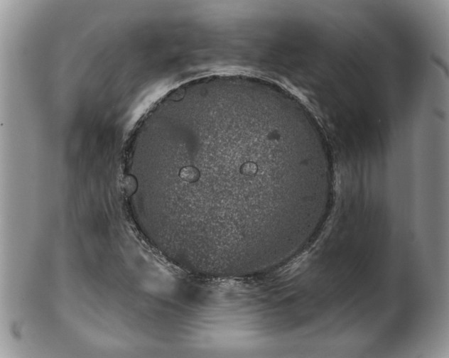 X0000100391263200806130944