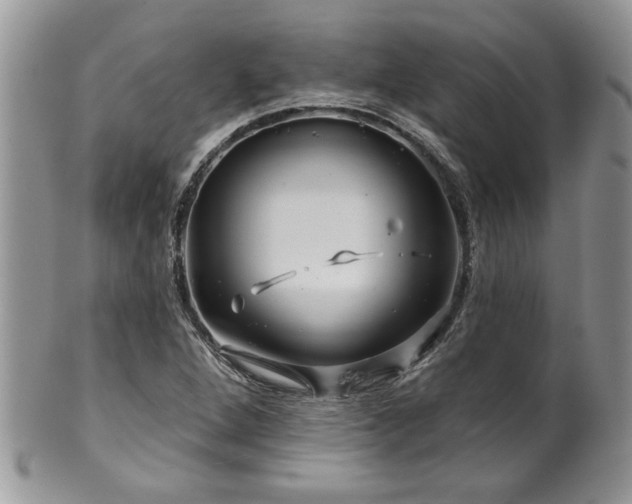 X0000100391264200806130944