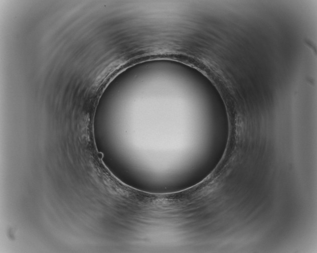 X0000100391265200806130944