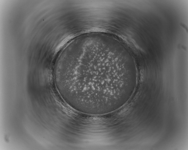 X0000100391266200806130944