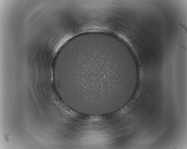 X0000100391267200806130944