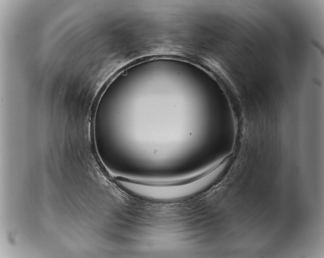 X0000100391268200806130944