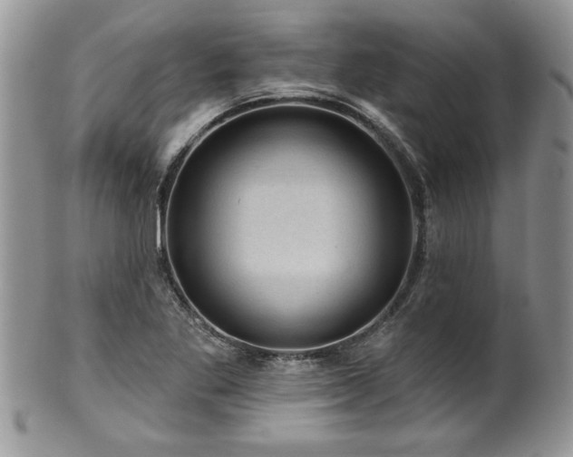 X0000100391269200806130944