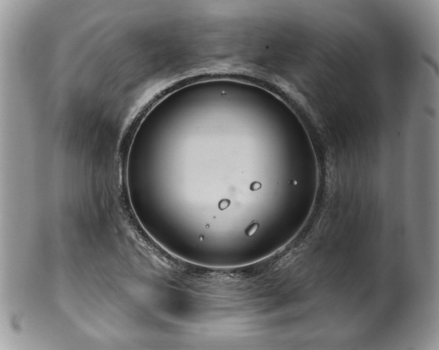 X0000100391270200806130944