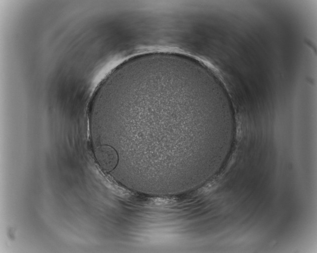 X0000100391271200806130944