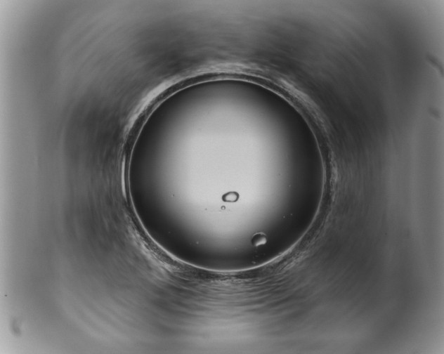 X0000100391272200806130944